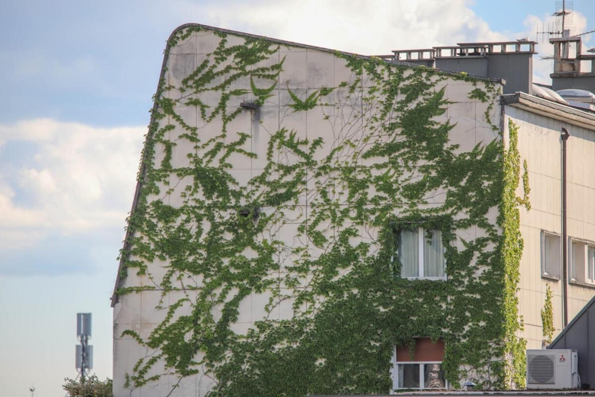 La Pause Annecienne Appartement Familial Annecy Eksteriør billede